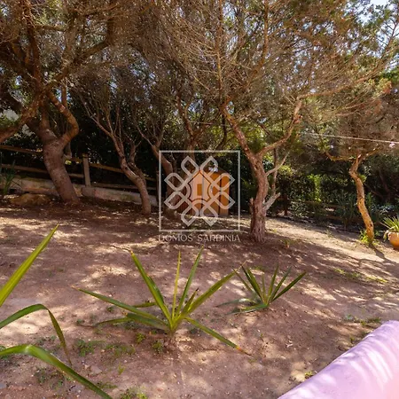 Villino Calypso דירה *