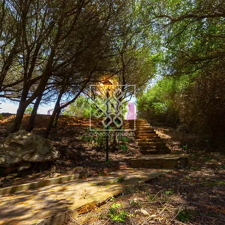 Villino Calypso Apartament Stintino